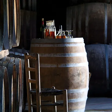 La Bastide En Gascogne 5*